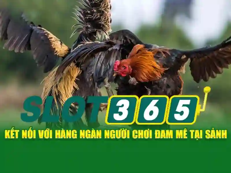 tải Slot365