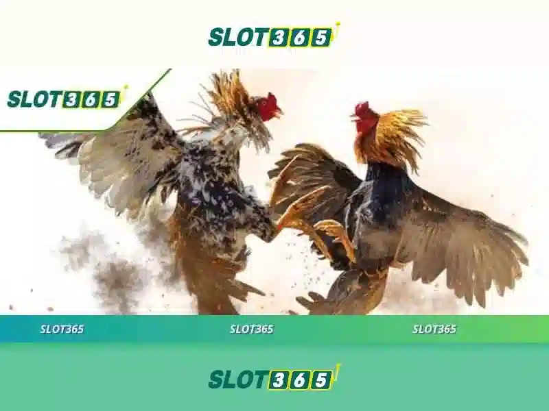 SLOT365 Pulsa Tanpa Potongan