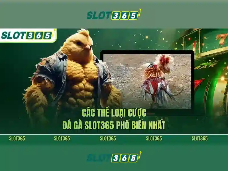 chương trình ưu đãi SLOT365