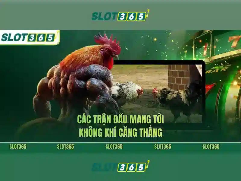 SLOT365 – Link Dự Phòng Slot365 Chính Thức Không Bị Chặn 2026