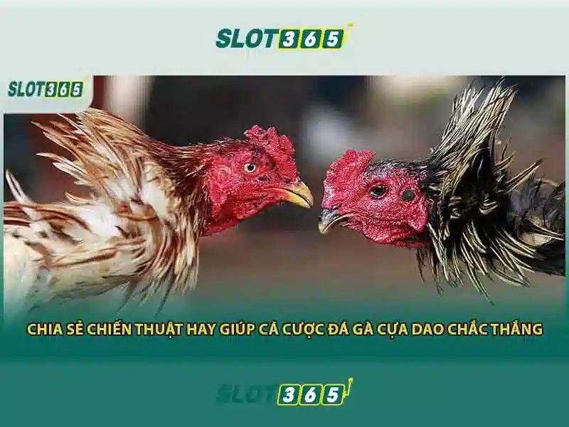 SLOT365 Games đa dạng thể loại