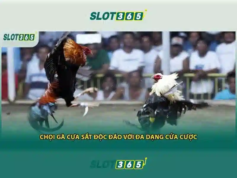 SLOT365 Bet
