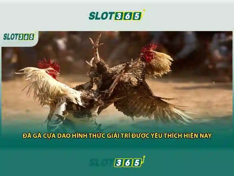 Phương pháp quản lý tài chính Slot365