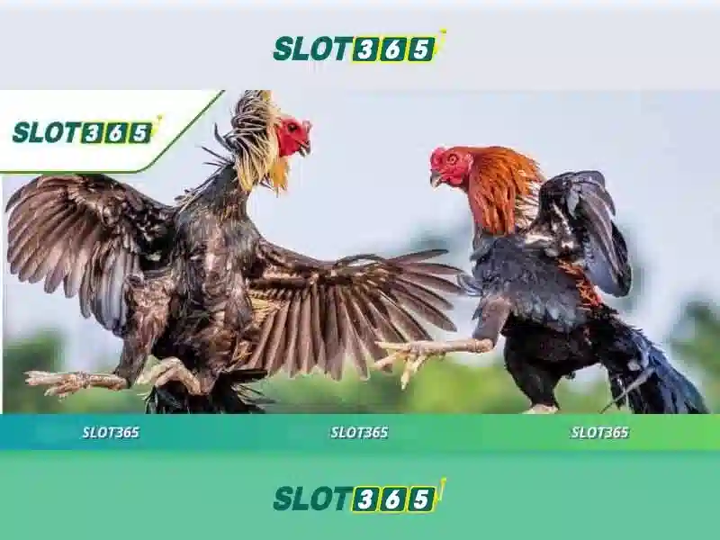 Slot Game Slot365