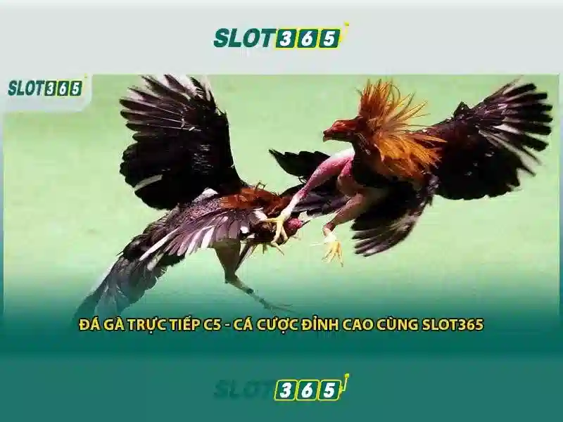 slot365 chính thức