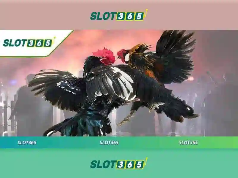 Slot365 chính thức