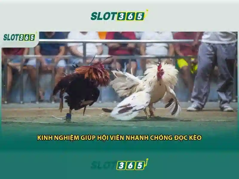 slot365 là gì