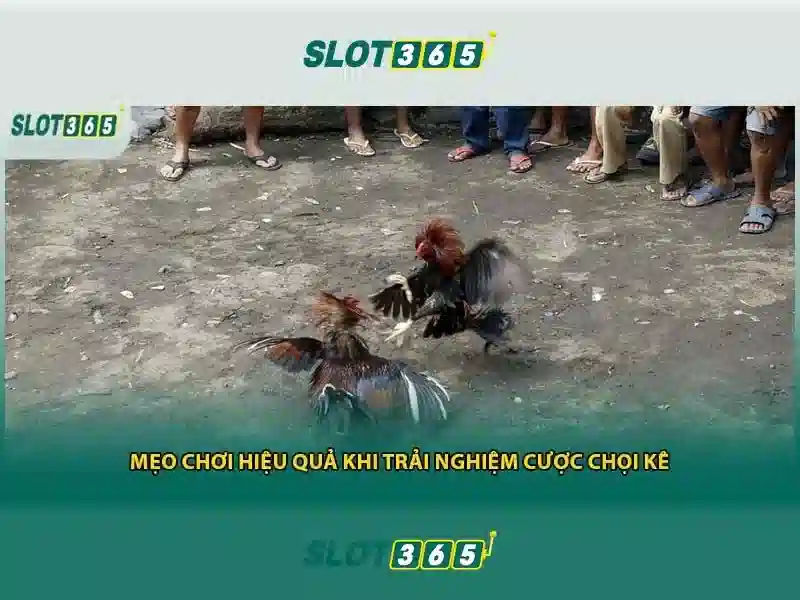 SLOT365 – Trải Nghiệm Trò Chơi Slot365 Đa Dạng