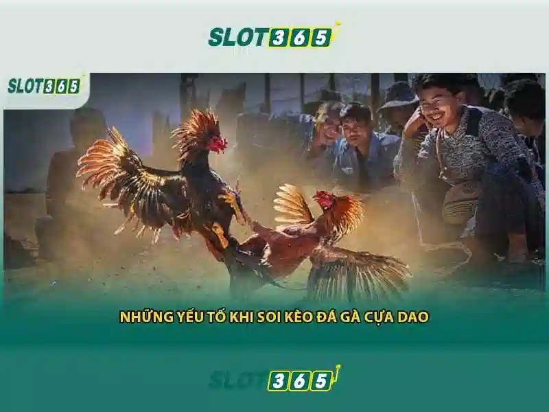 Kênh Liên Hệ 24/7 Cho Người Chơi Slot365