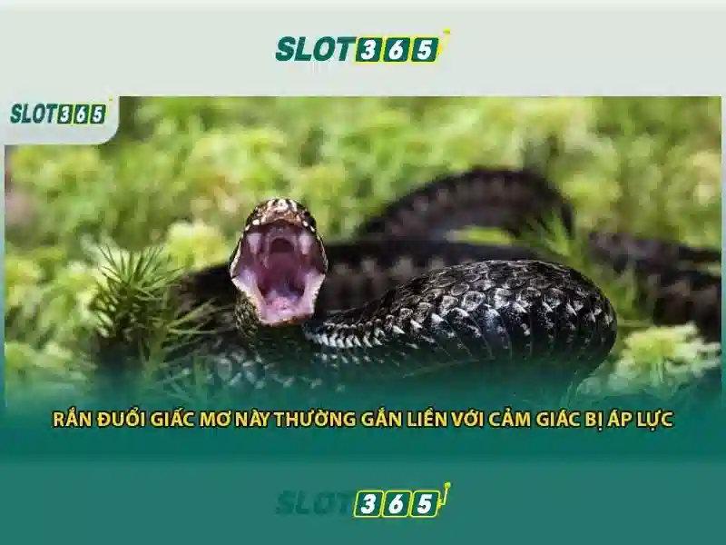 Trải Nghiệm Slot365
