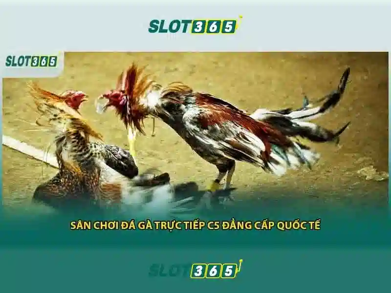 Đa Dạng Game Slot