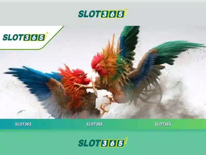 Quy Trình Rút Tiền Slot365