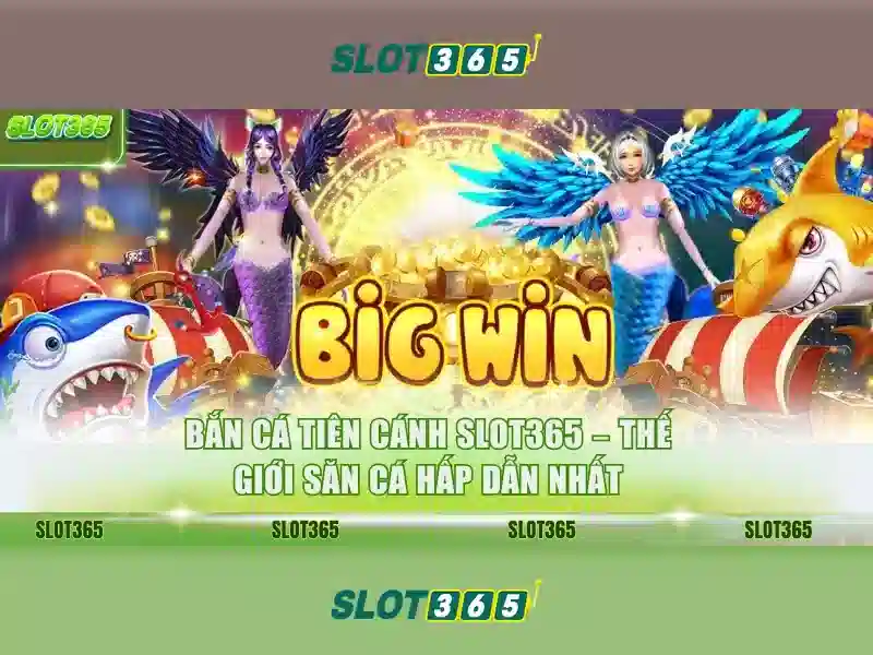 tại sao chọn Slot365