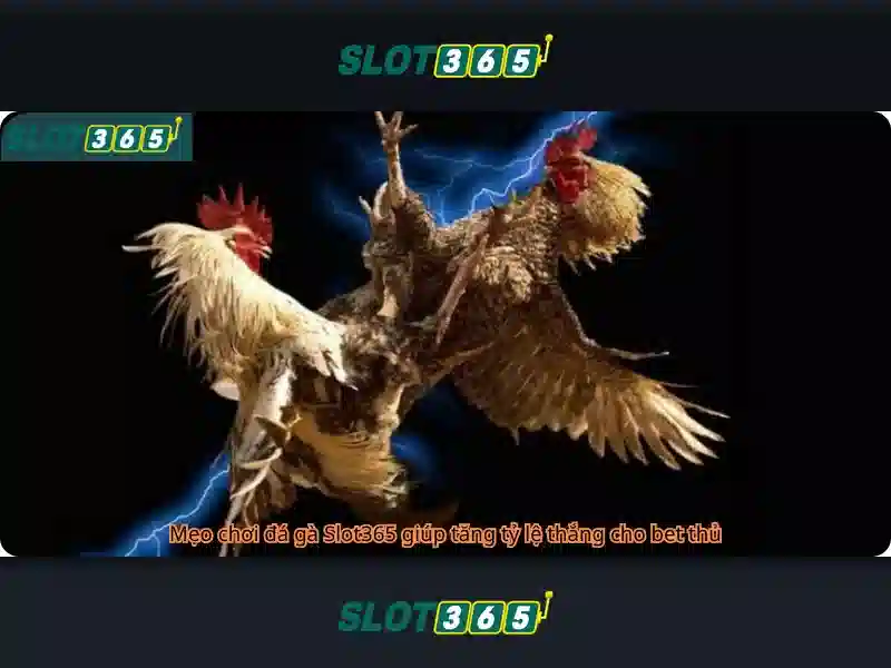 Trải Nghiệm Game Slot365 Đỉnh Cao