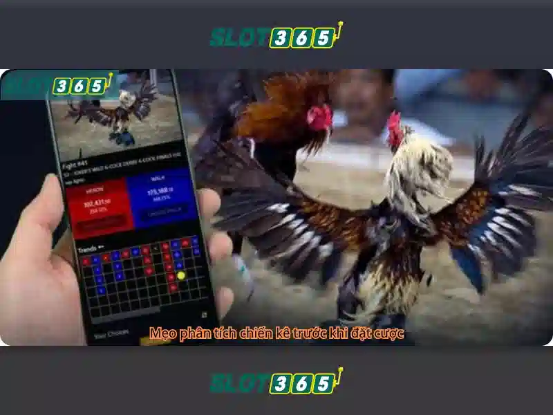 RTP Slot365 – Trải Nghiệm Slot365 Tối Ưu Với RTP Cao 2026