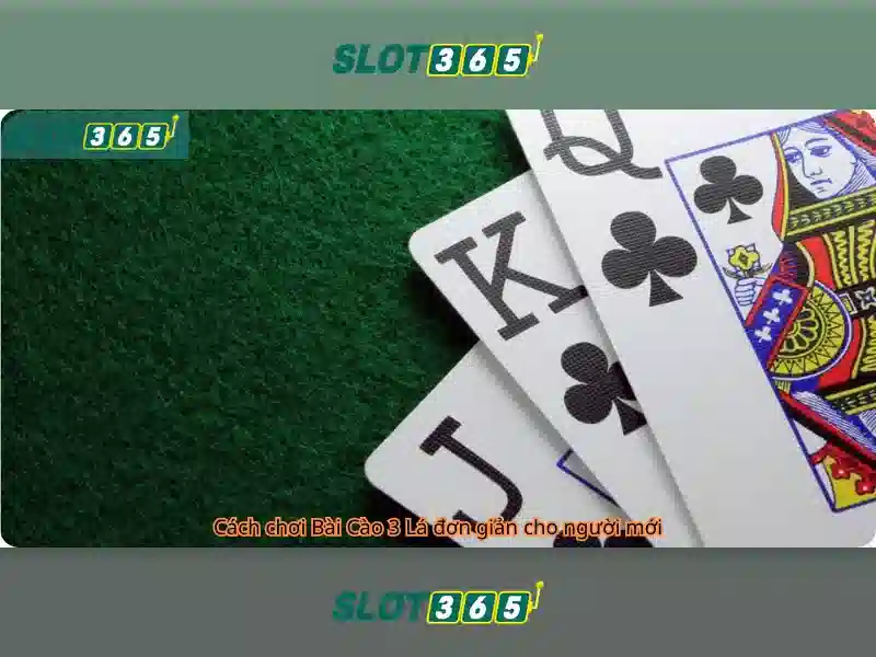 Slot365 casino