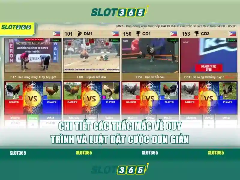 slot365 xxvip