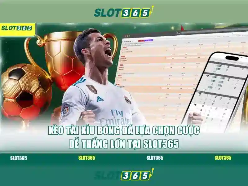 SLOT365 tái chính thức