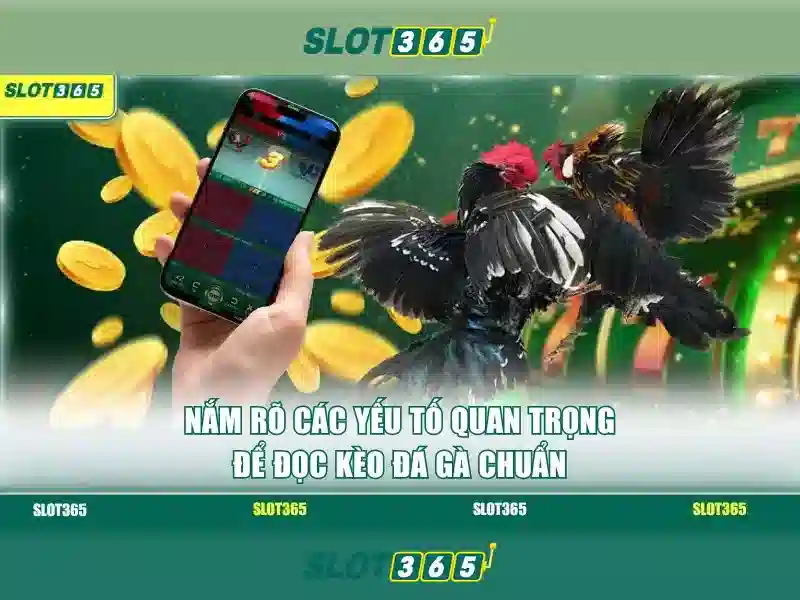 Rút Tiền Slot365