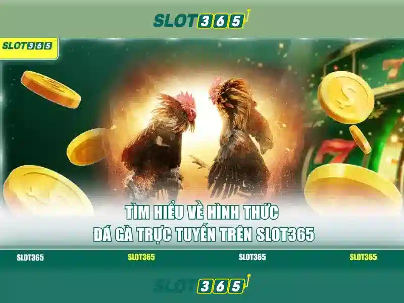 Tại Sao Nên Chọn Slot365 Bet