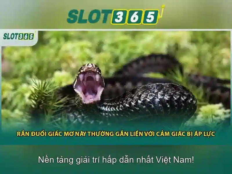 Trải Nghiệm Slot365