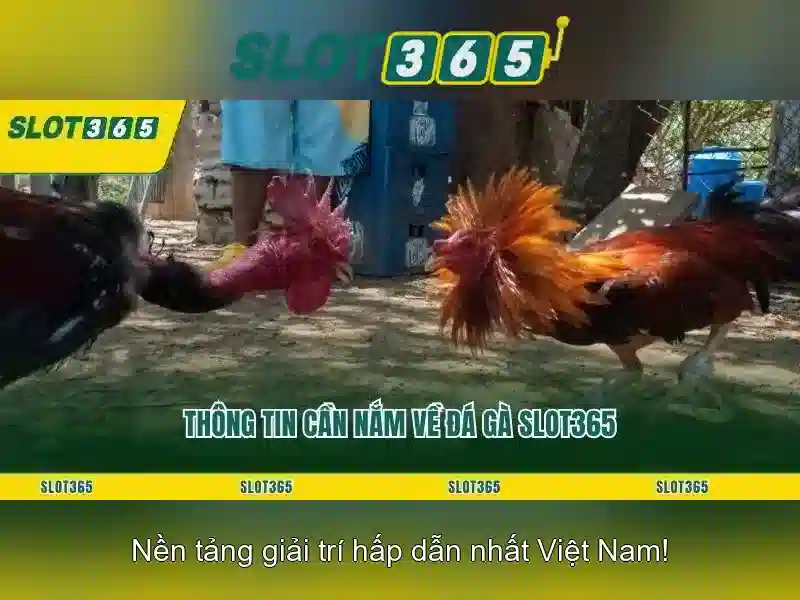 Kinh nghiệm Slot365 đỉnh cao
