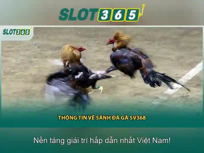 Giới Thiệu Về SLOT365