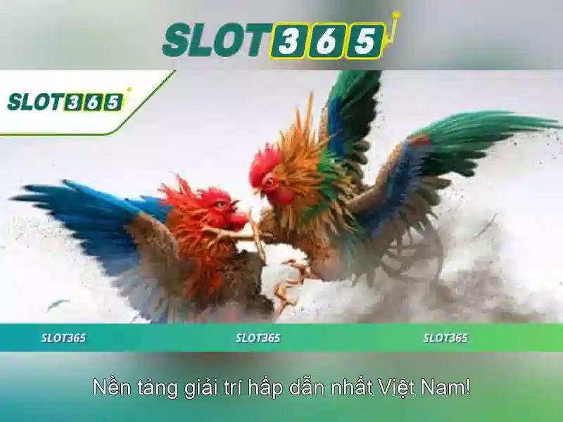 Ưu Đãi Slot365