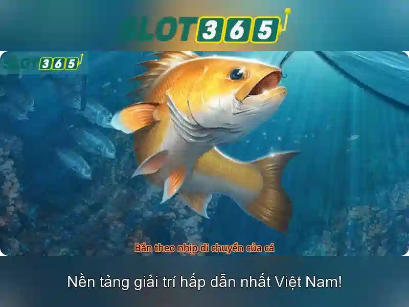 Live Slot365 Login