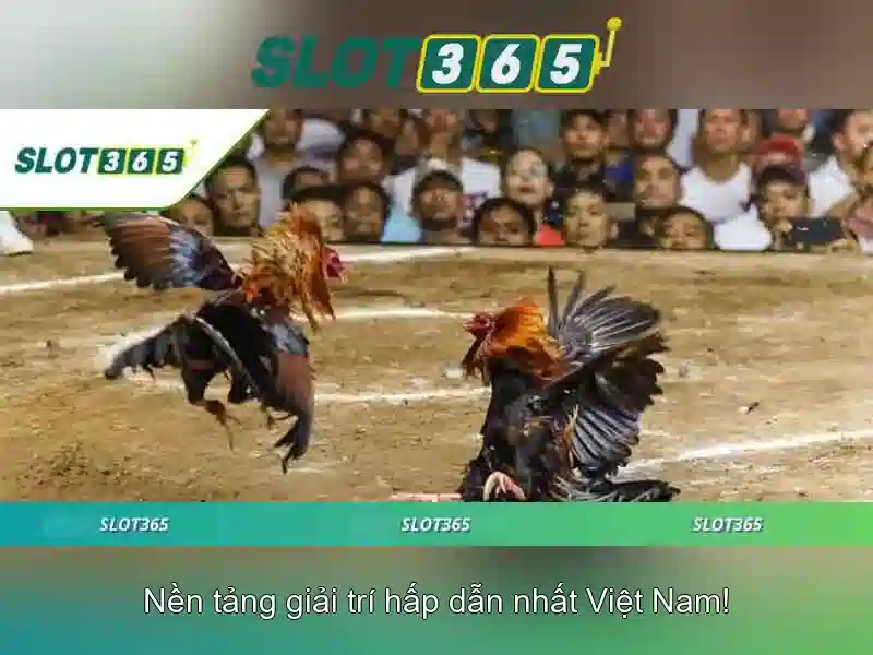 Cách Thức Tham Gia Slot365