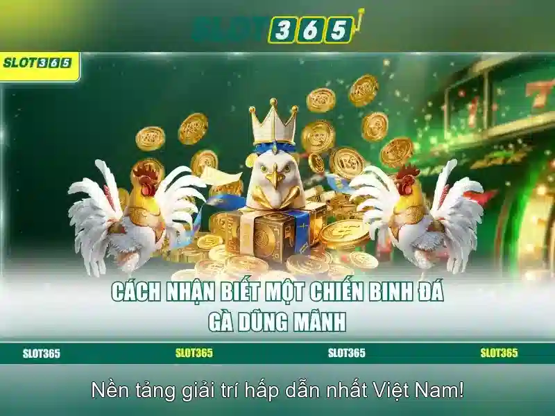 Trải Nghiệm Slot365