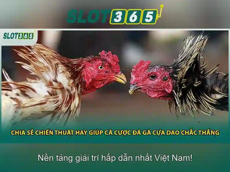 Ưu Đãi Slot365