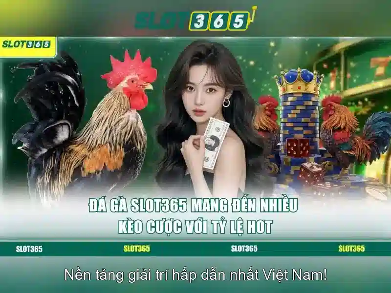 Đánh Giá Slot365 Có Uy Tín Không