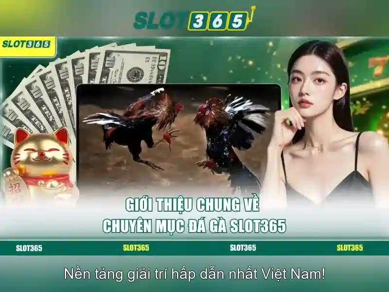 trò chơi slot Slot365