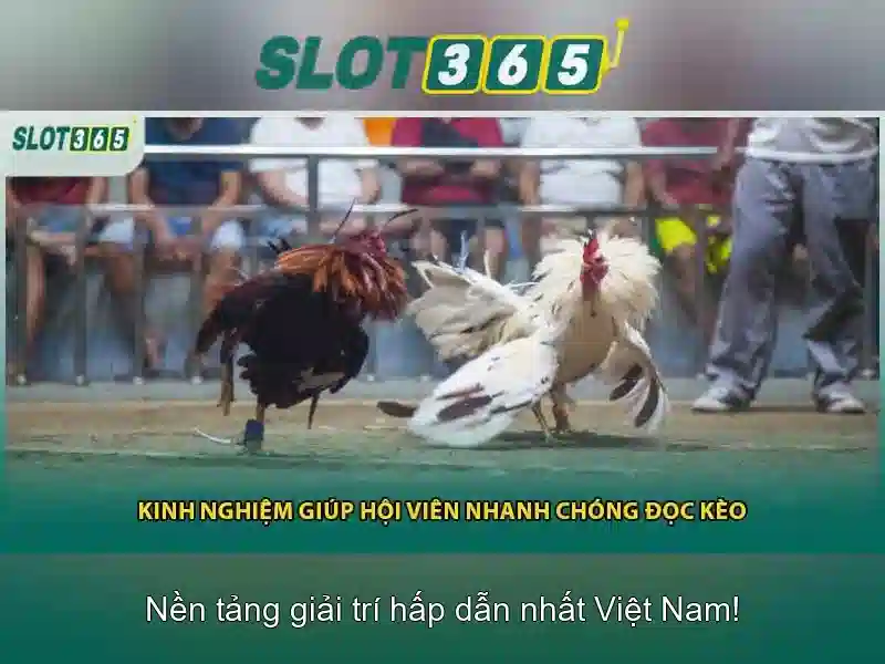 Asia Slot365
