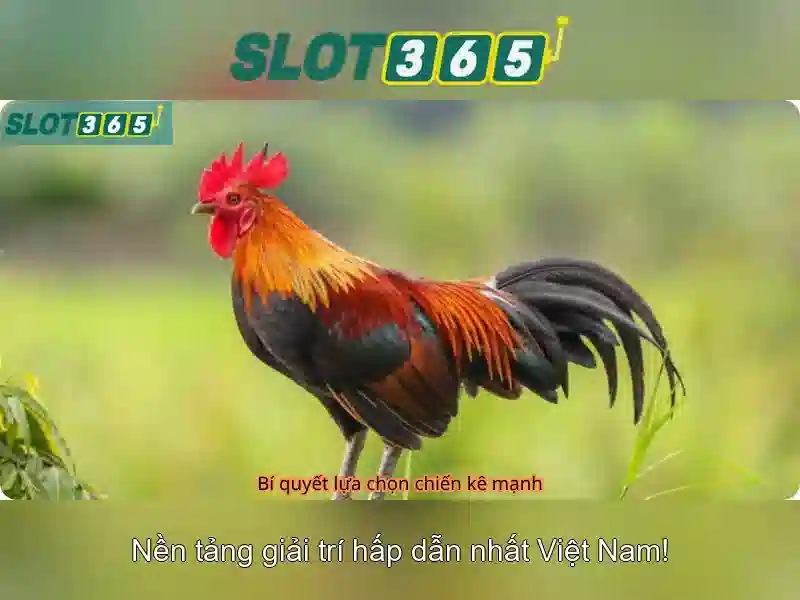Khám Phá Slot365 Tái