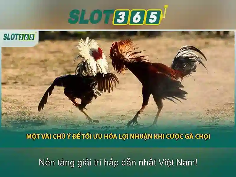 SLOT365 Giao Diện Hiện Đại