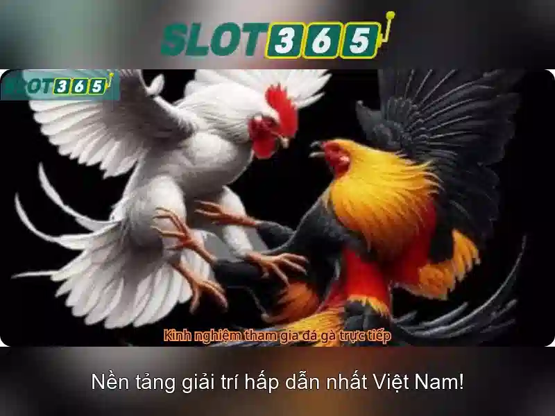 Slot365 Nổ Hũ Đa Dạng