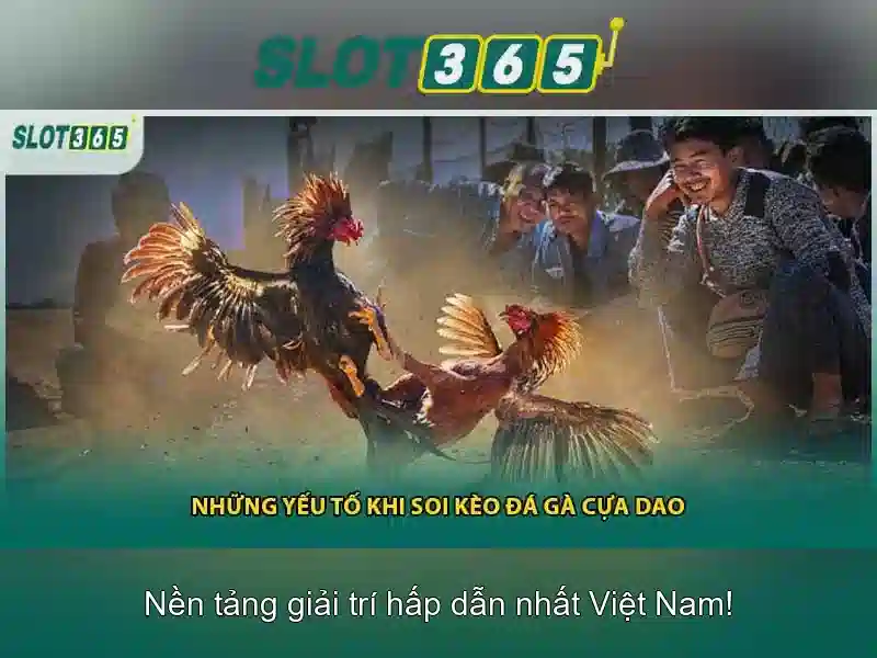 SLOT365