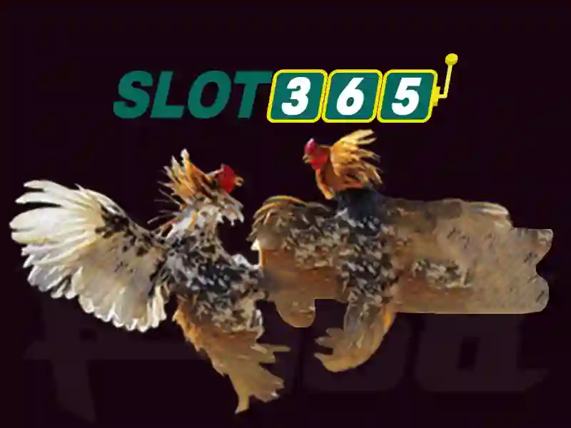 Trải nghiệm Slot365